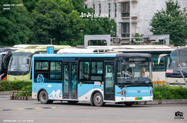 800BUS