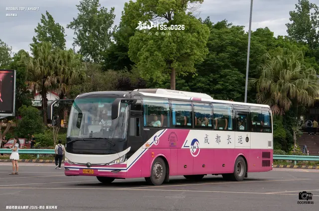 800BUS