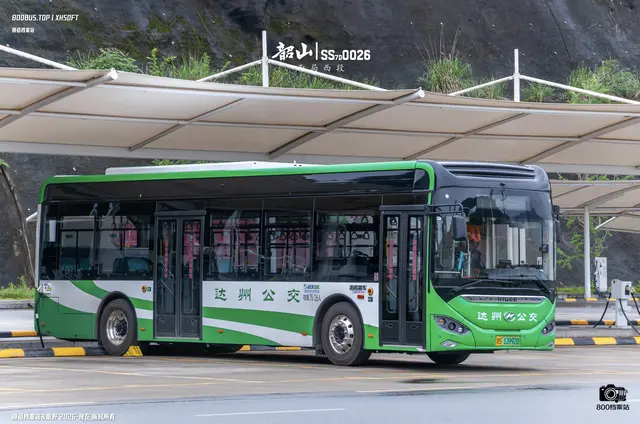 800BUS