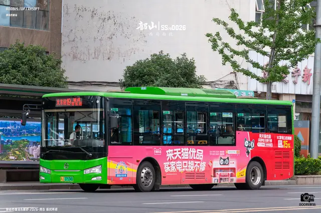 800BUS