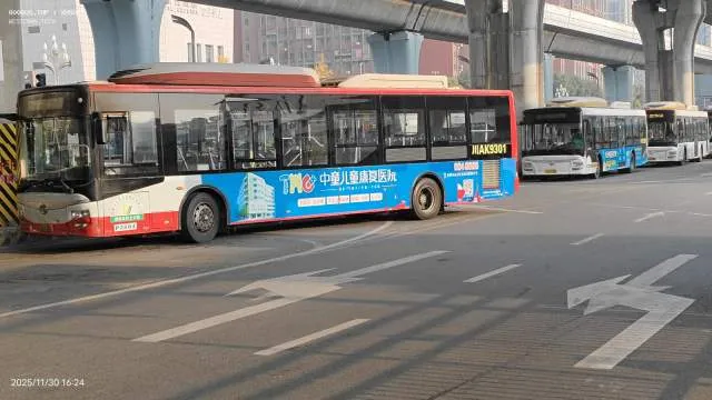 800BUS