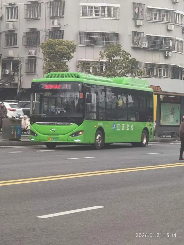 800BUS