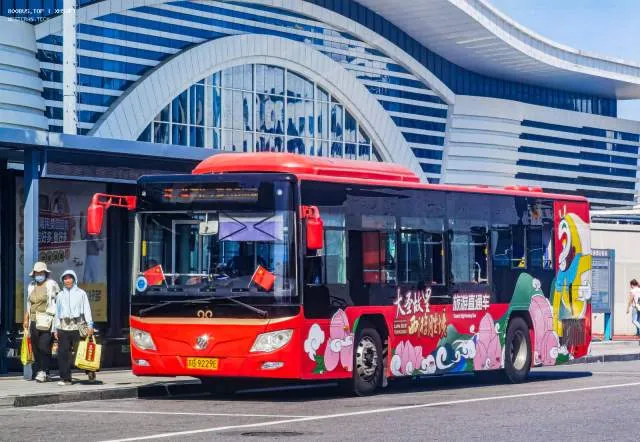 800BUS