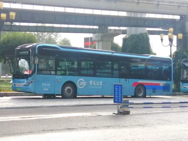 渝A 05065F