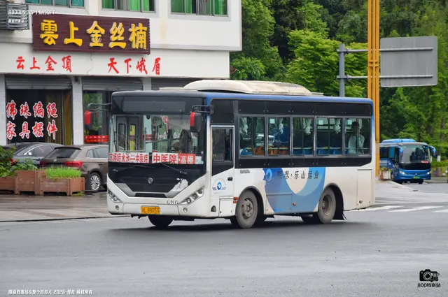 800BUS