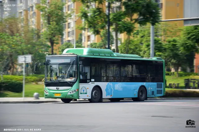800BUS