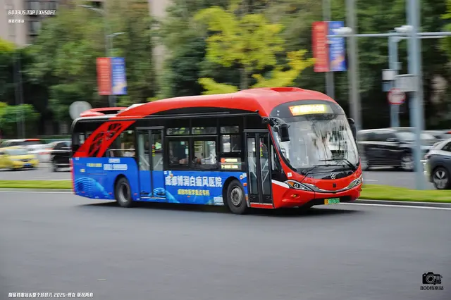 800BUS