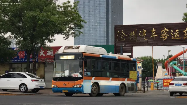 800BUS