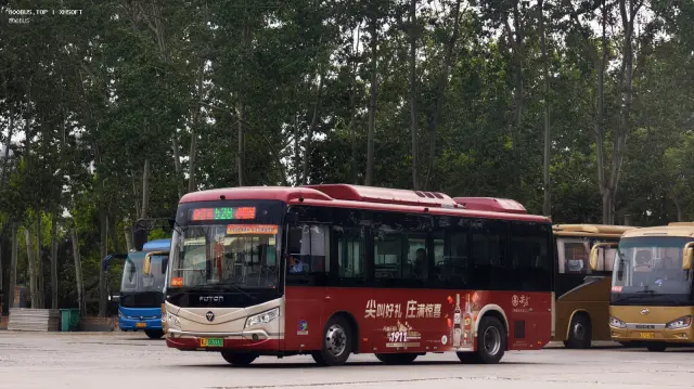 800BUS
