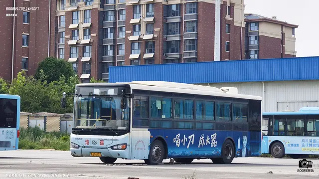 800BUS