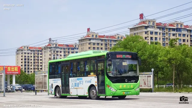800BUS