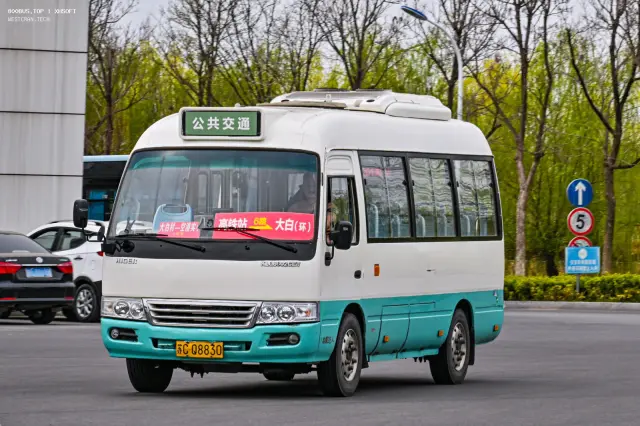 800BUS