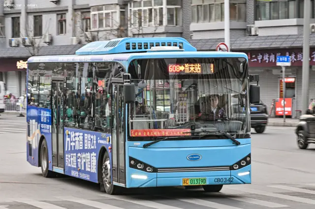 800BUS