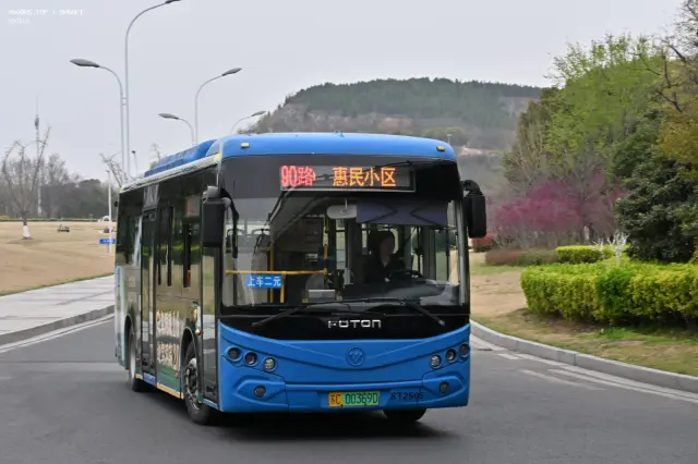 800BUS