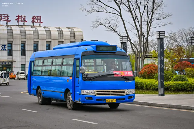 800BUS