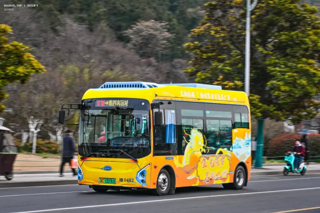 800BUS