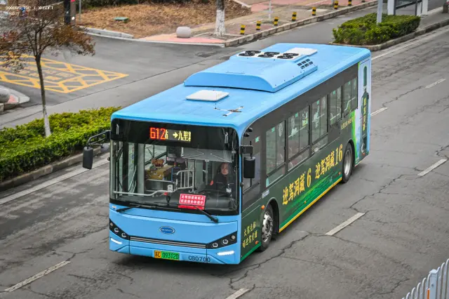 800BUS