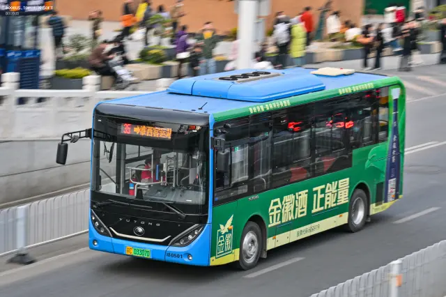 800BUS