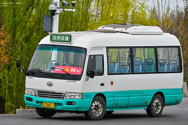 800BUS