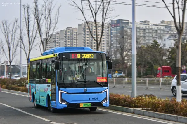 800BUS