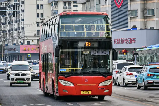 800BUS