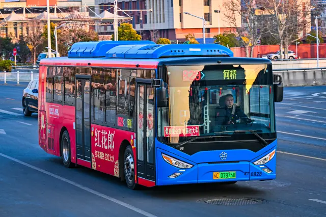 800BUS