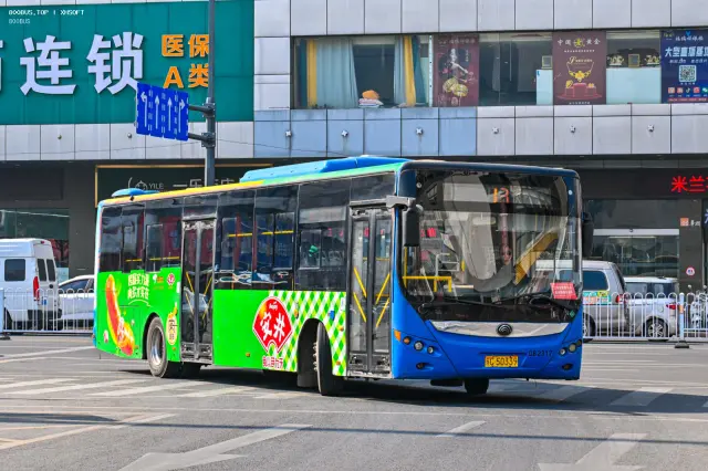 800BUS