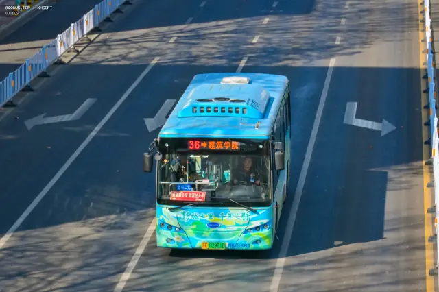 800BUS