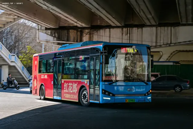 800BUS