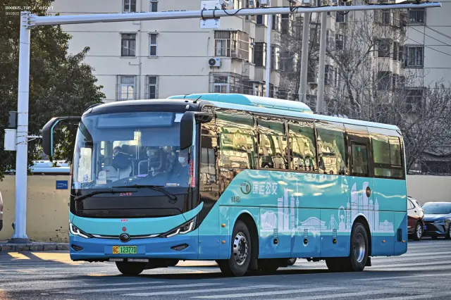 800BUS