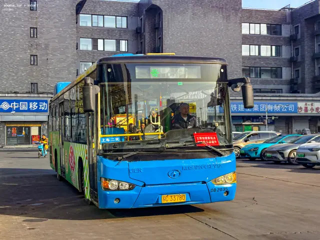 800BUS