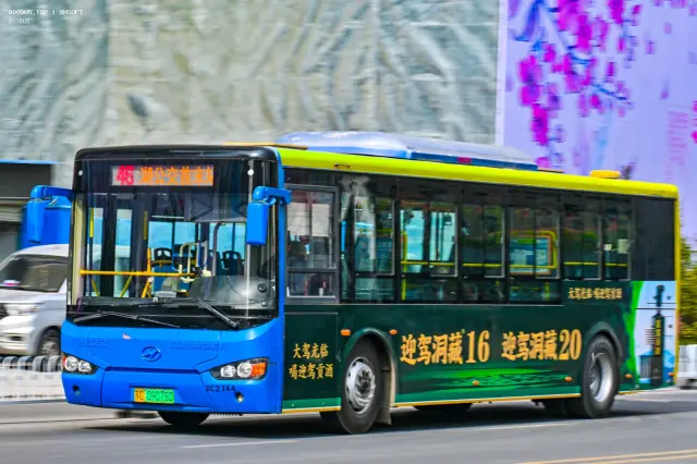 800BUS
