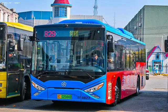 800BUS