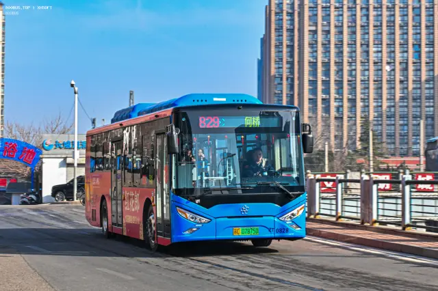 800BUS