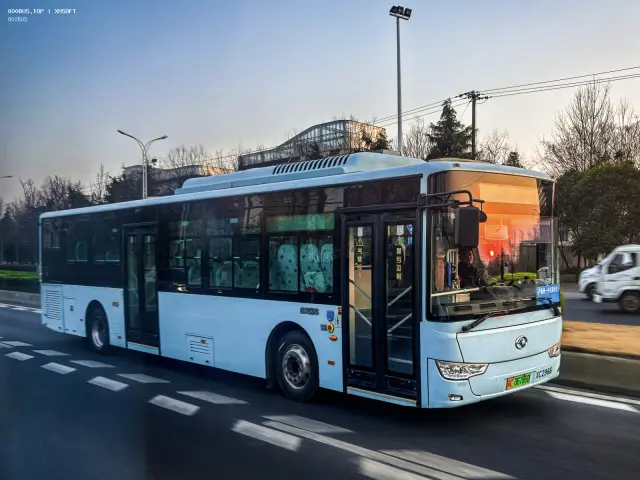 800BUS