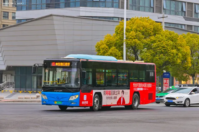 800BUS