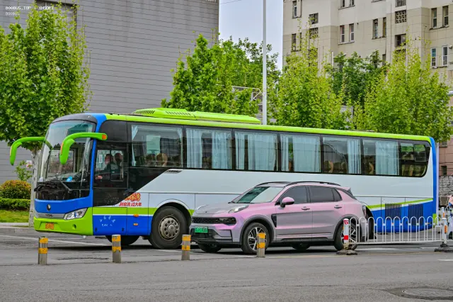 800BUS