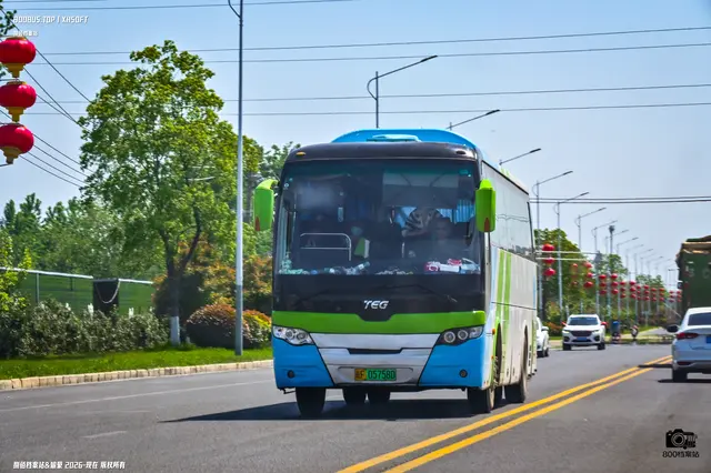 800BUS
