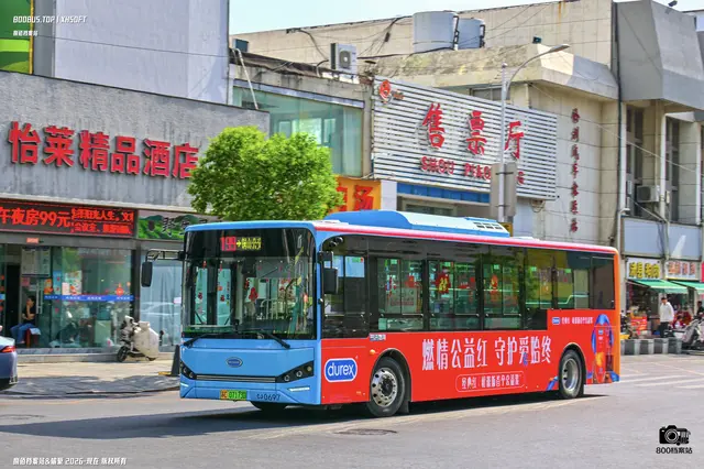 800BUS