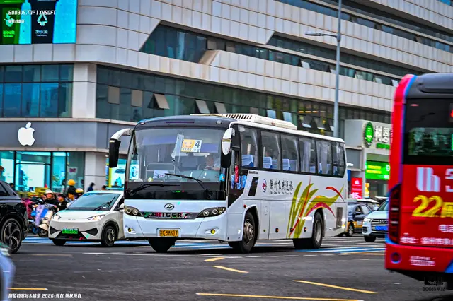 800BUS