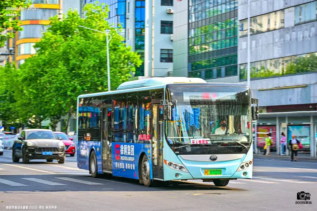 800BUS