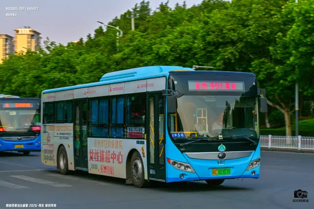 800BUS