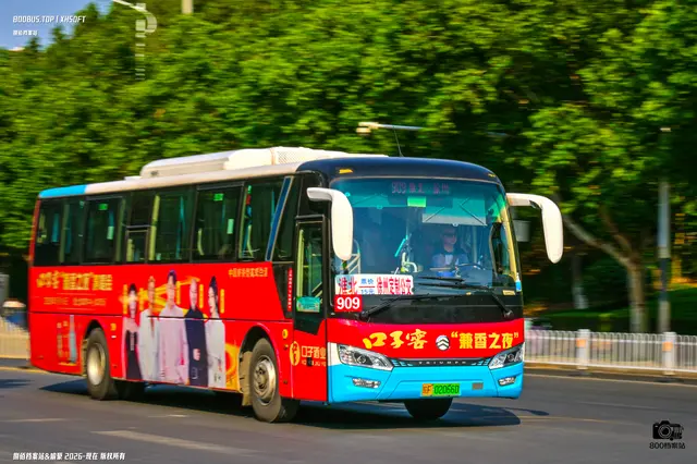 800BUS