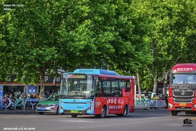 800BUS