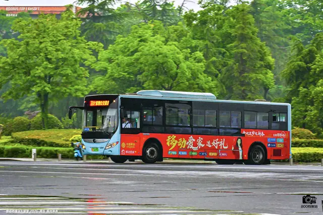 800BUS