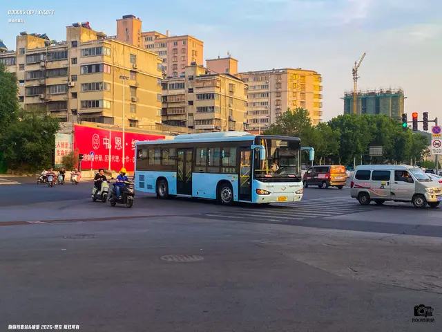 800BUS