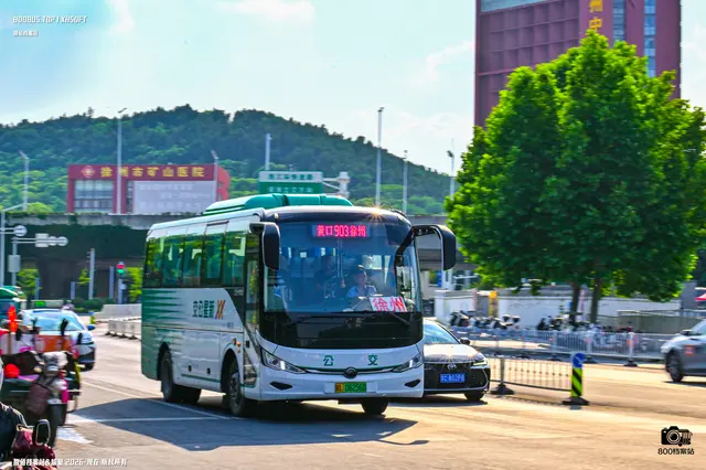 800BUS