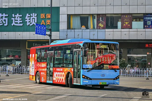 800BUS