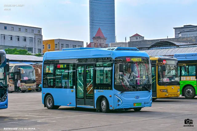 800BUS