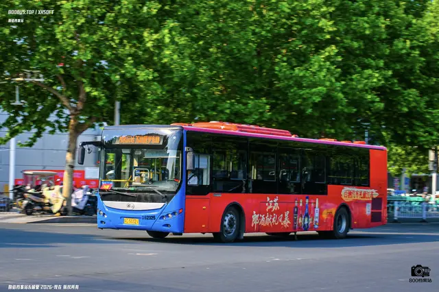 800BUS